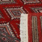 Pakistanska preproga bordo Jaldar 198x302 Ročno vozlana orientalska preproga