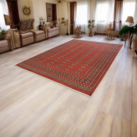 Velika preproga bordo bokhara 244x336 ročno vozlana pakistanska preproga za dnevno sobo