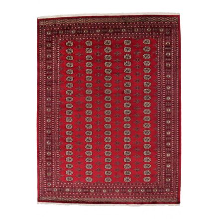Velika preproga bordo Bukhara 280x366 orientalska preproga