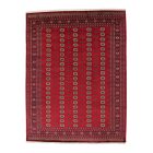 Orientalska preproga Bukhara 280x366 cm – velika bordo ročno vozlana preproga