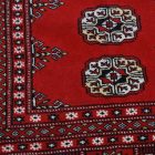Velika preproga bordo bokhara 278x372 ročno vozlana pakistanska preproga za dnevno sobo